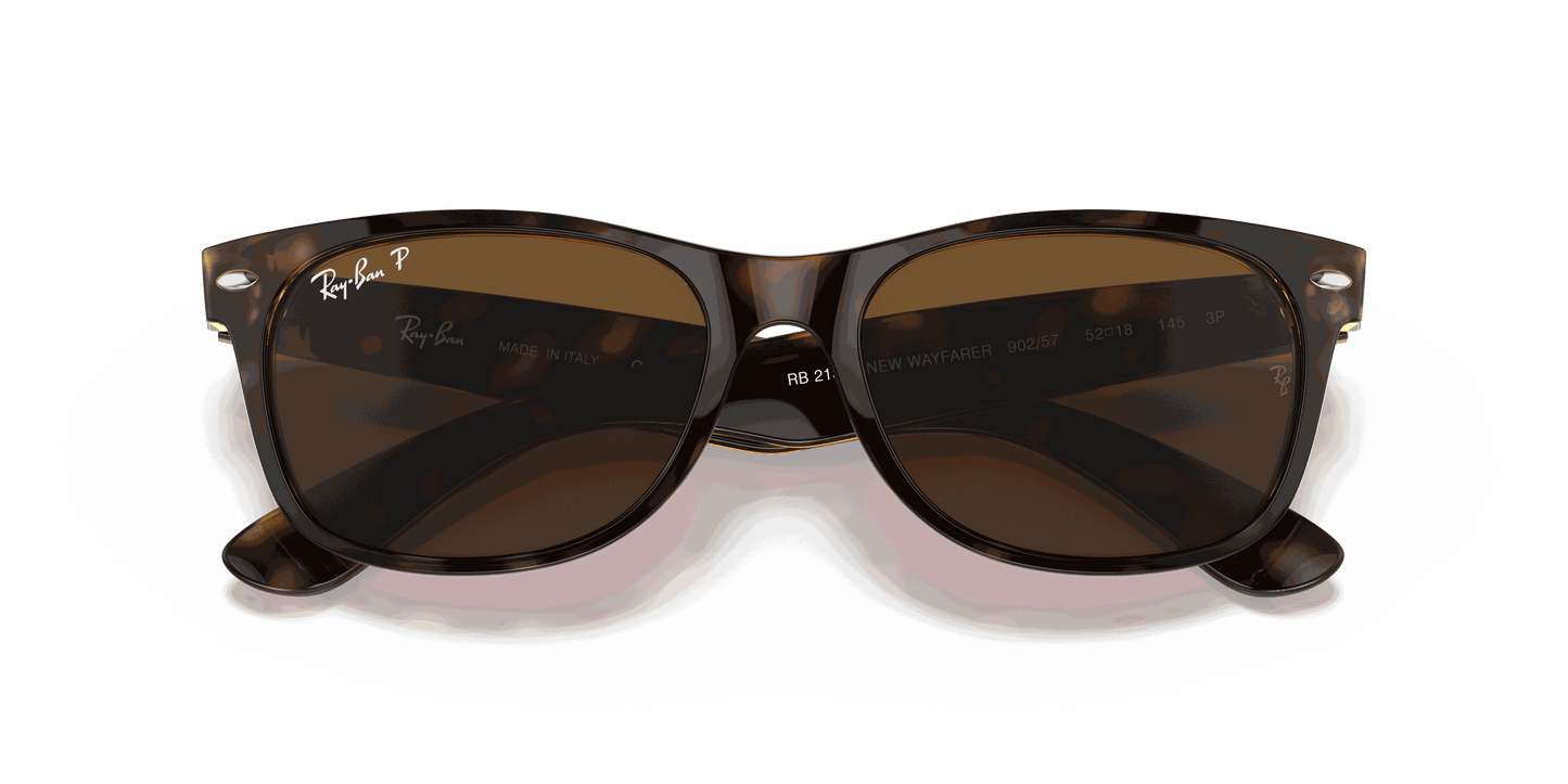 [B-15 Brown Lenses, Polished Tortoise Frame]