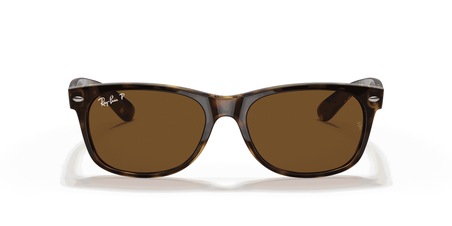 [B-15 Brown Lenses, Polished Tortoise Frame]