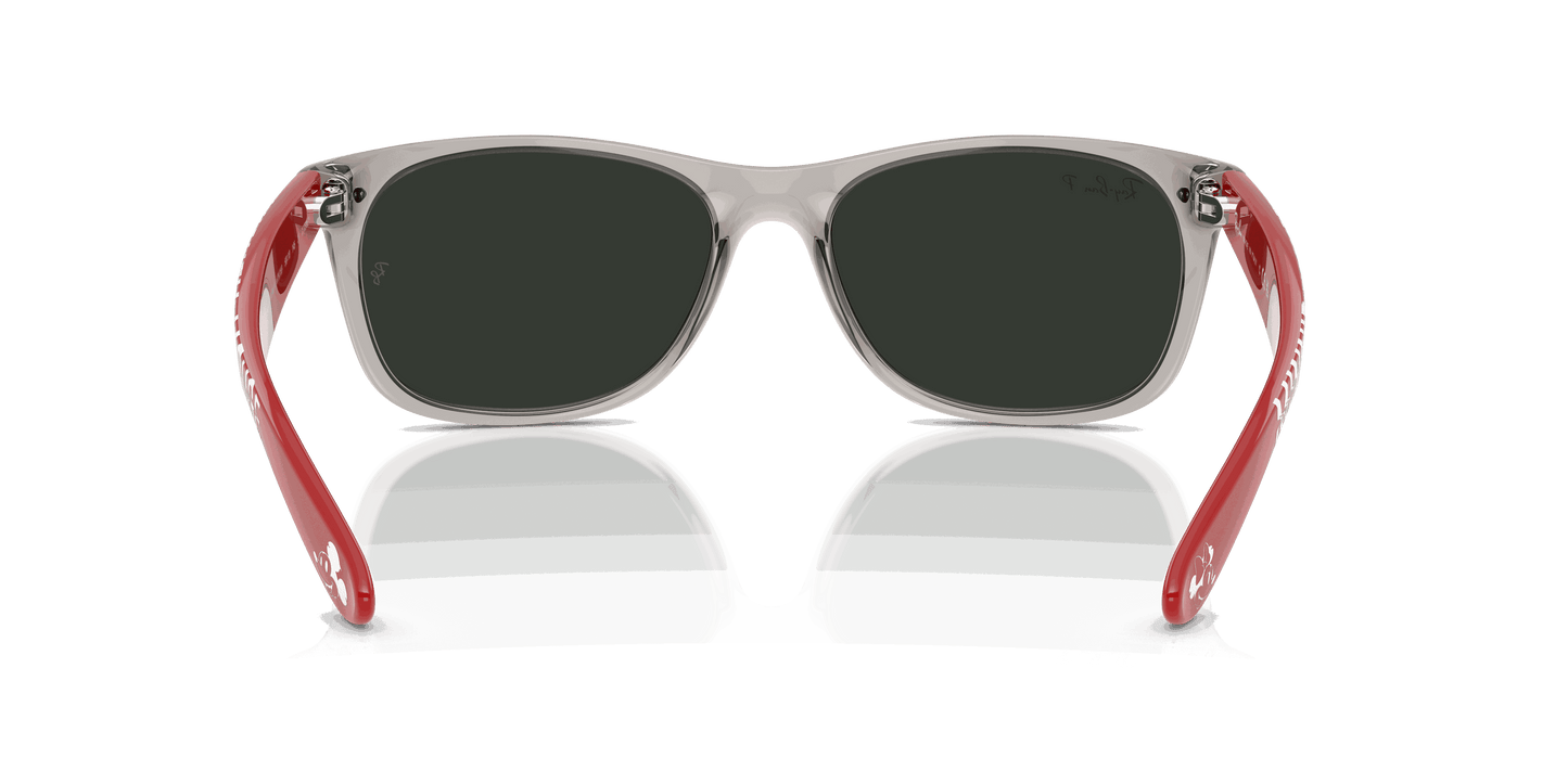 [Grey Mirror Silver - Polar Lenses, Polished Transparent Grey Frame]
