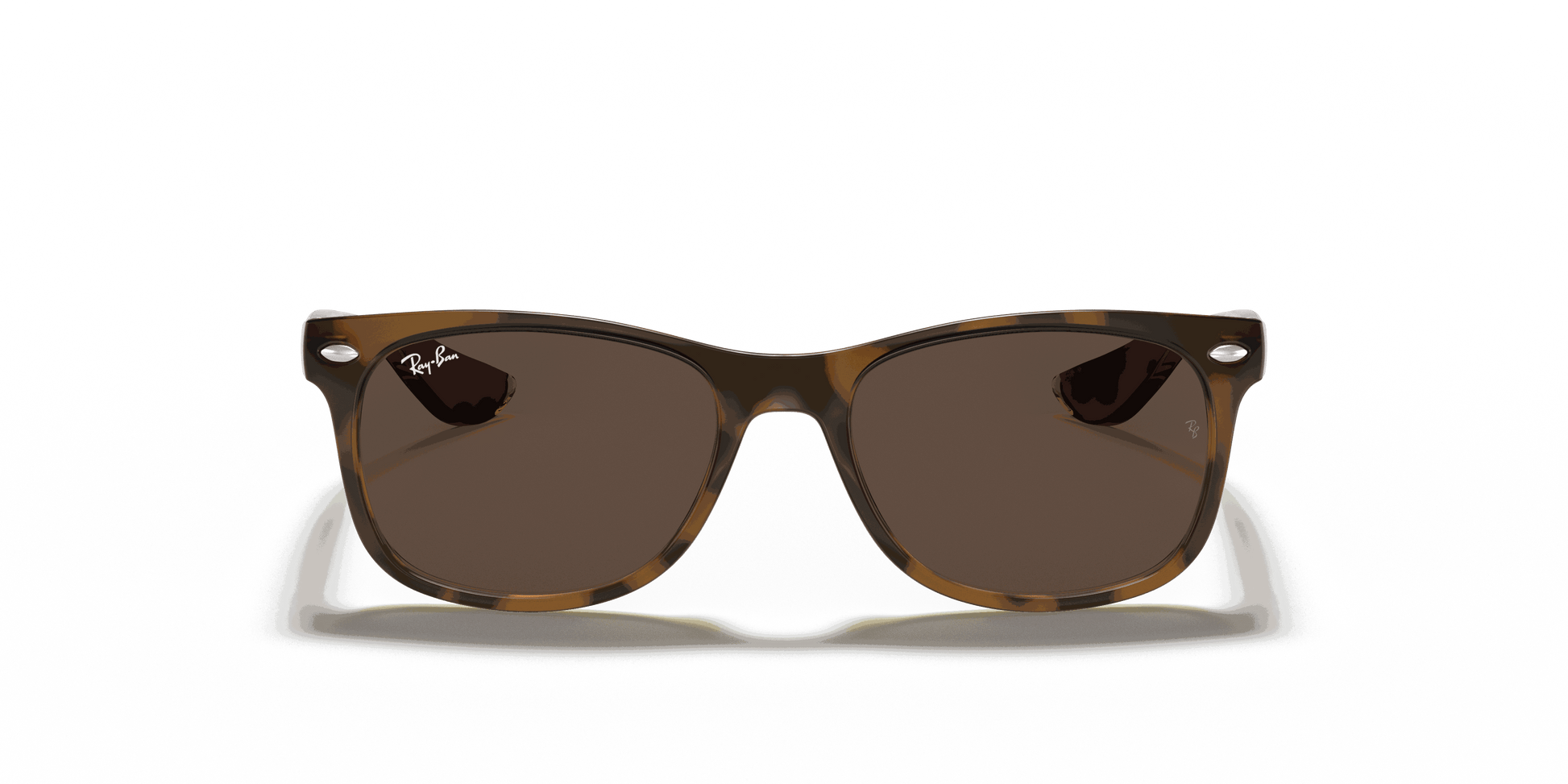 [Dark Brown Lenses, Polished Havana Frame]