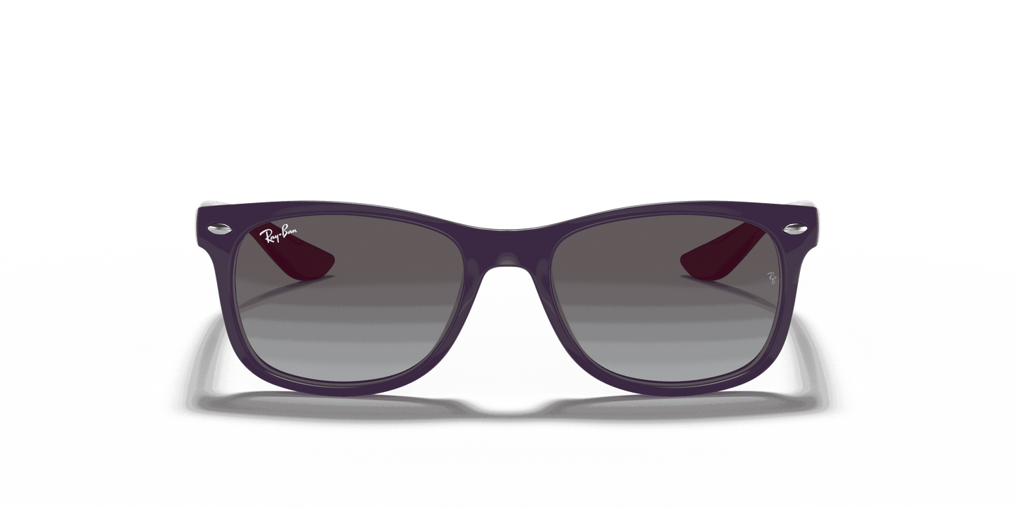 [Light Grey/Dark Grey Lenses, Polished Violet Frame]