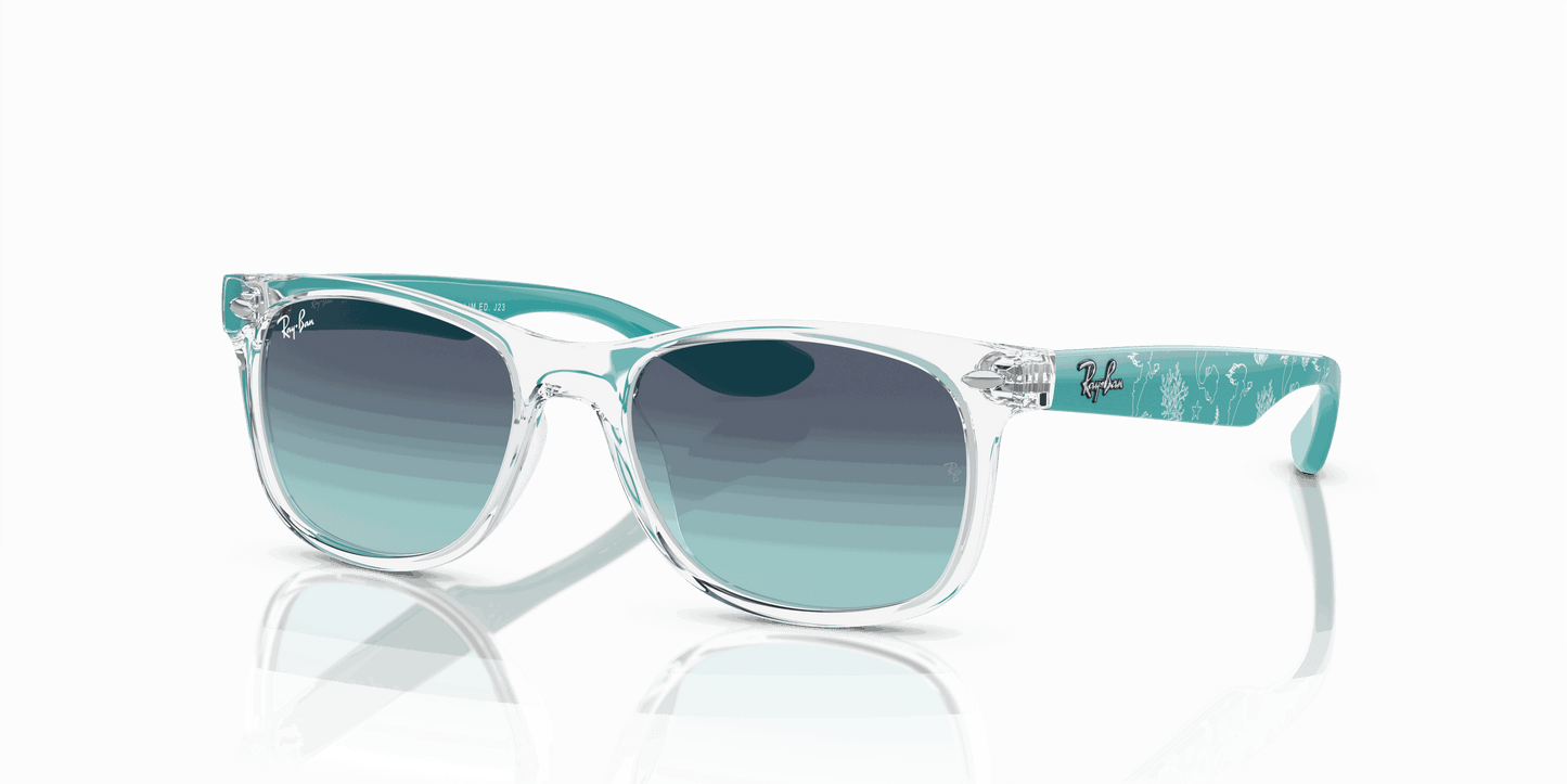 [Dark Blue Lenses, Polished Transparent Frame]