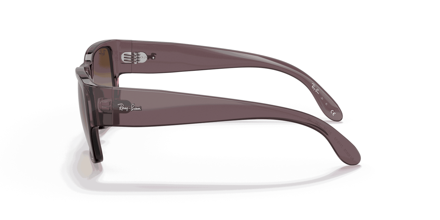 [Brown Gradient Lenses, Polished Transparent Dark Brown Frame]