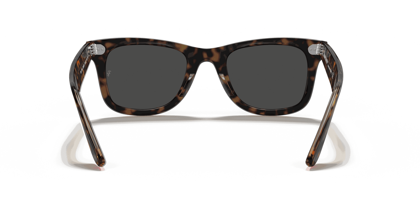 [Dark Grey Lenses, Polished Havana On Transparent Brown Frame]