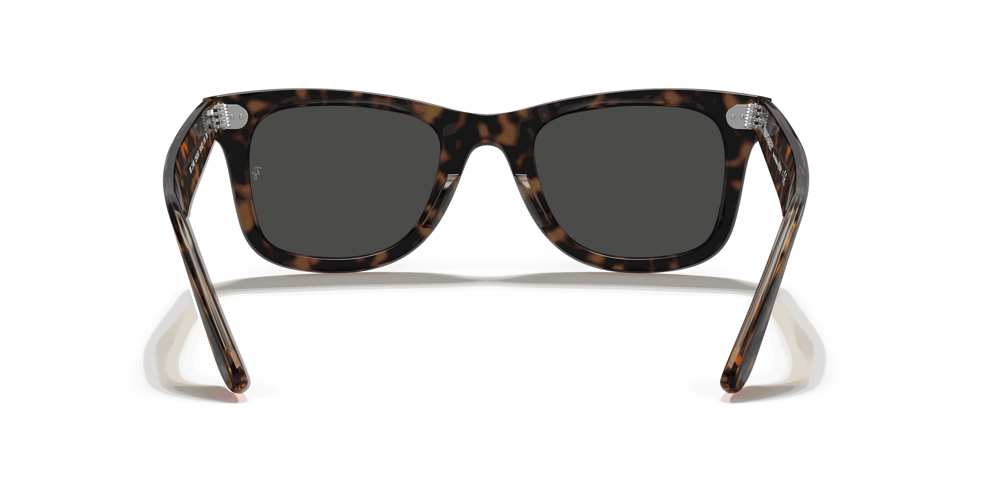 [Dark Grey Lenses, Polished Havana On Transparent Brown Frame]