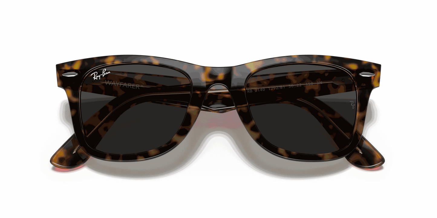 [Dark Grey Lenses, Polished Havana On Transparent Brown Frame]