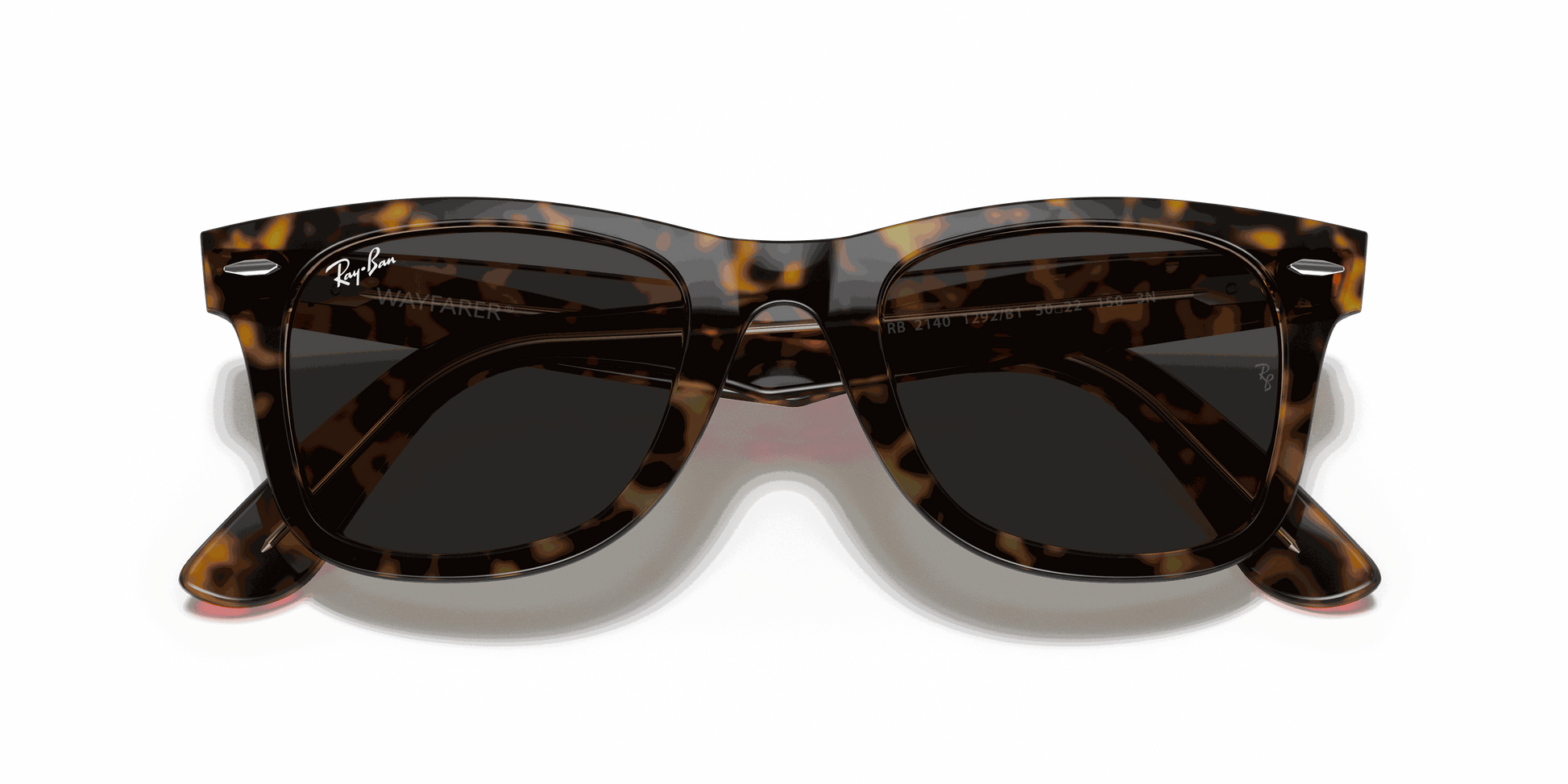 [Dark Grey Lenses, Polished Havana On Transparent Brown Frame]