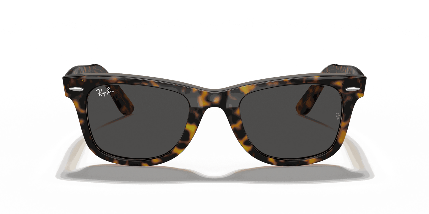 [Dark Grey Lenses, Polished Havana On Transparent Brown Frame]