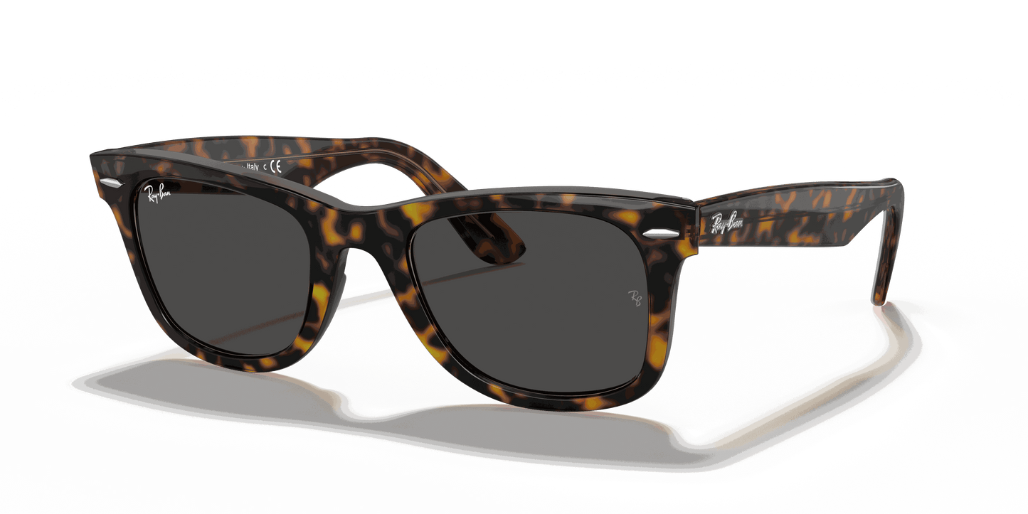 [Dark Grey Lenses, Polished Havana On Transparent Brown Frame]