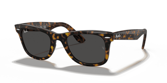[Dark Grey Lenses, Polished Havana On Transparent Brown Frame]