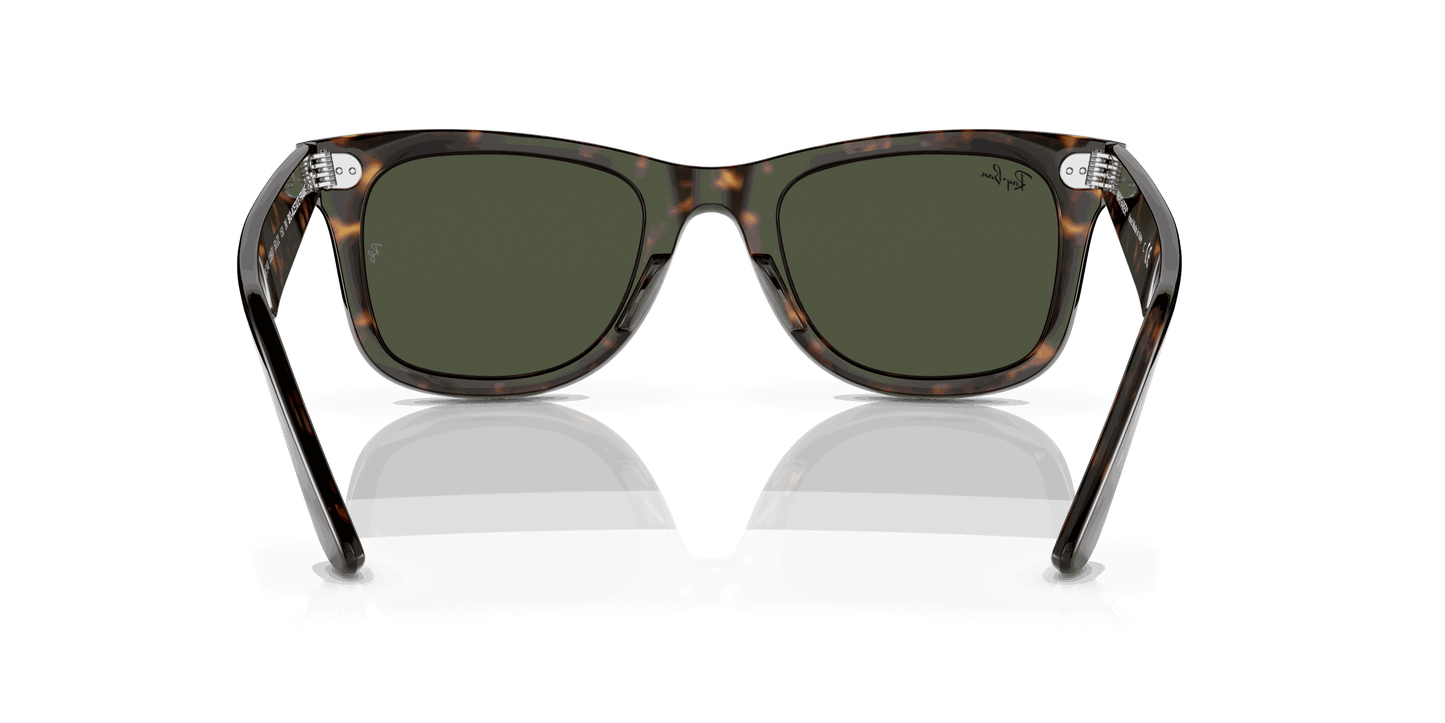 [Green Lenses, Polished Havana Frame]
