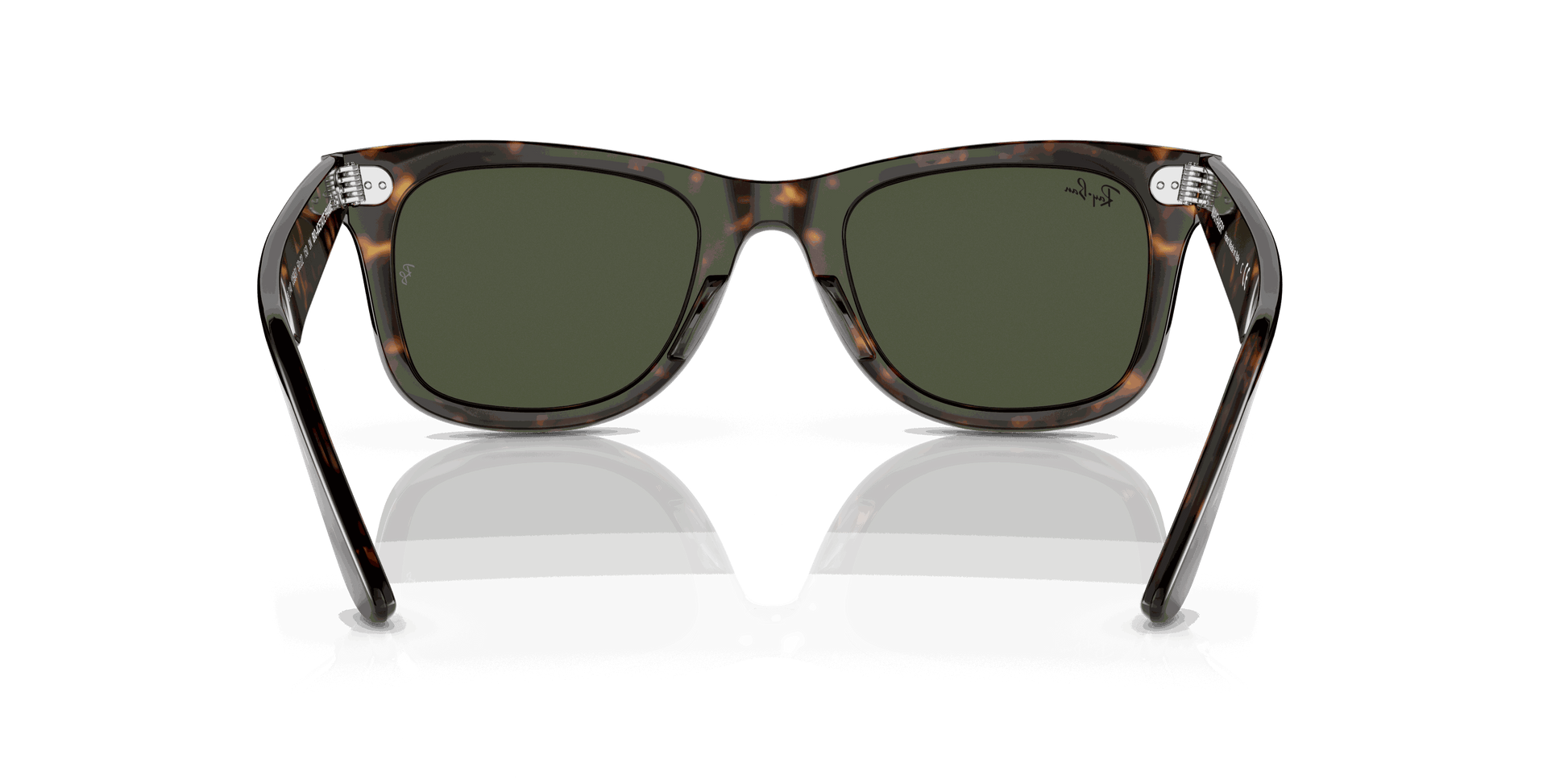[Green Lenses, Polished Havana Frame]