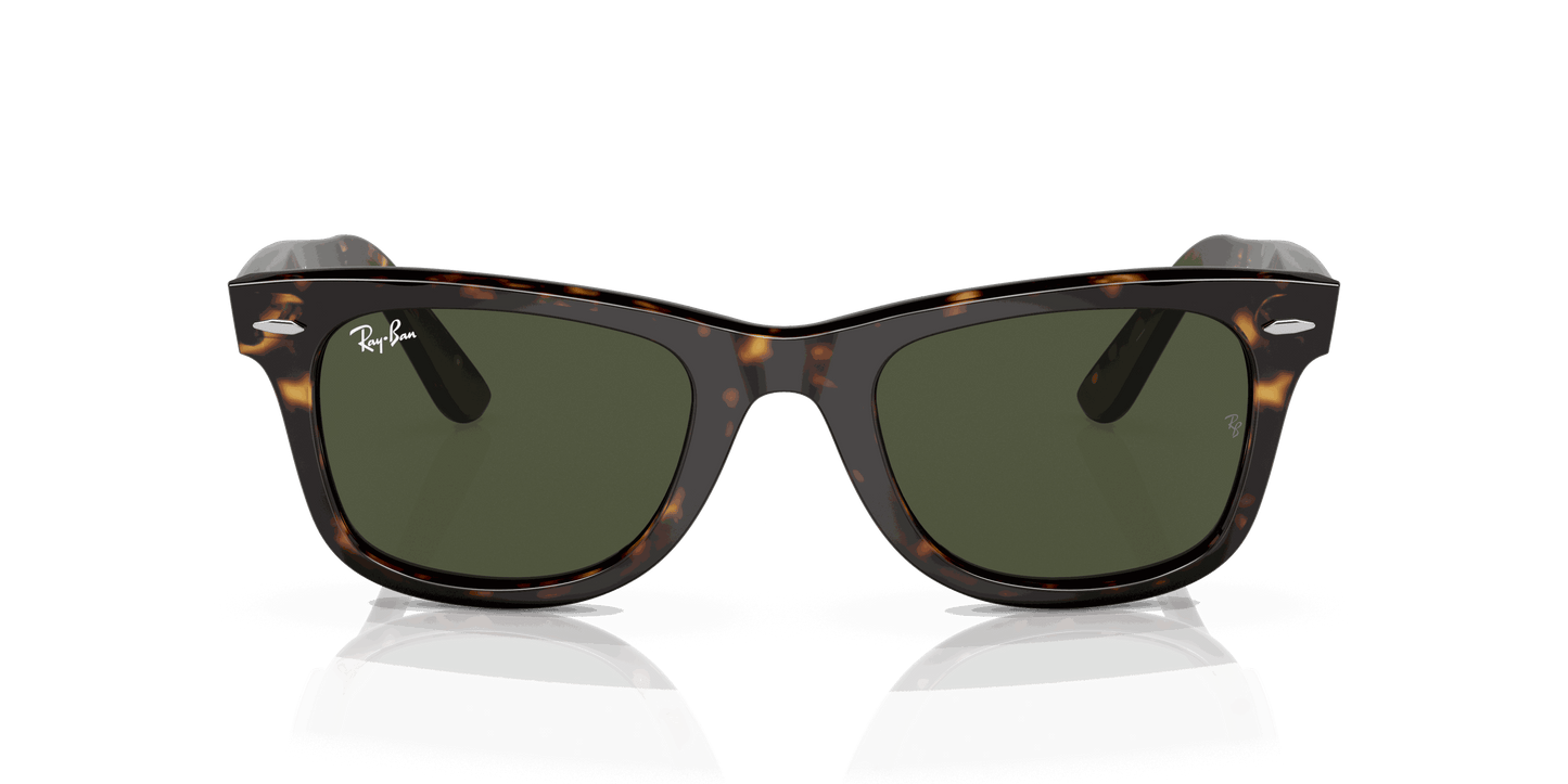 [Green Lenses, Polished Havana Frame]