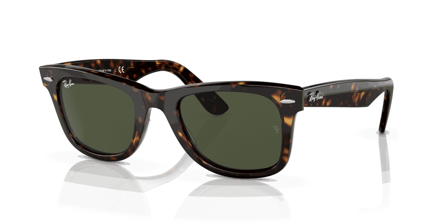 [Green Lenses, Polished Havana Frame]