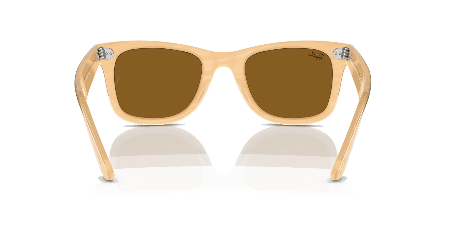 [Brown Lenses, Polished Photo Striped Brown Frame]
