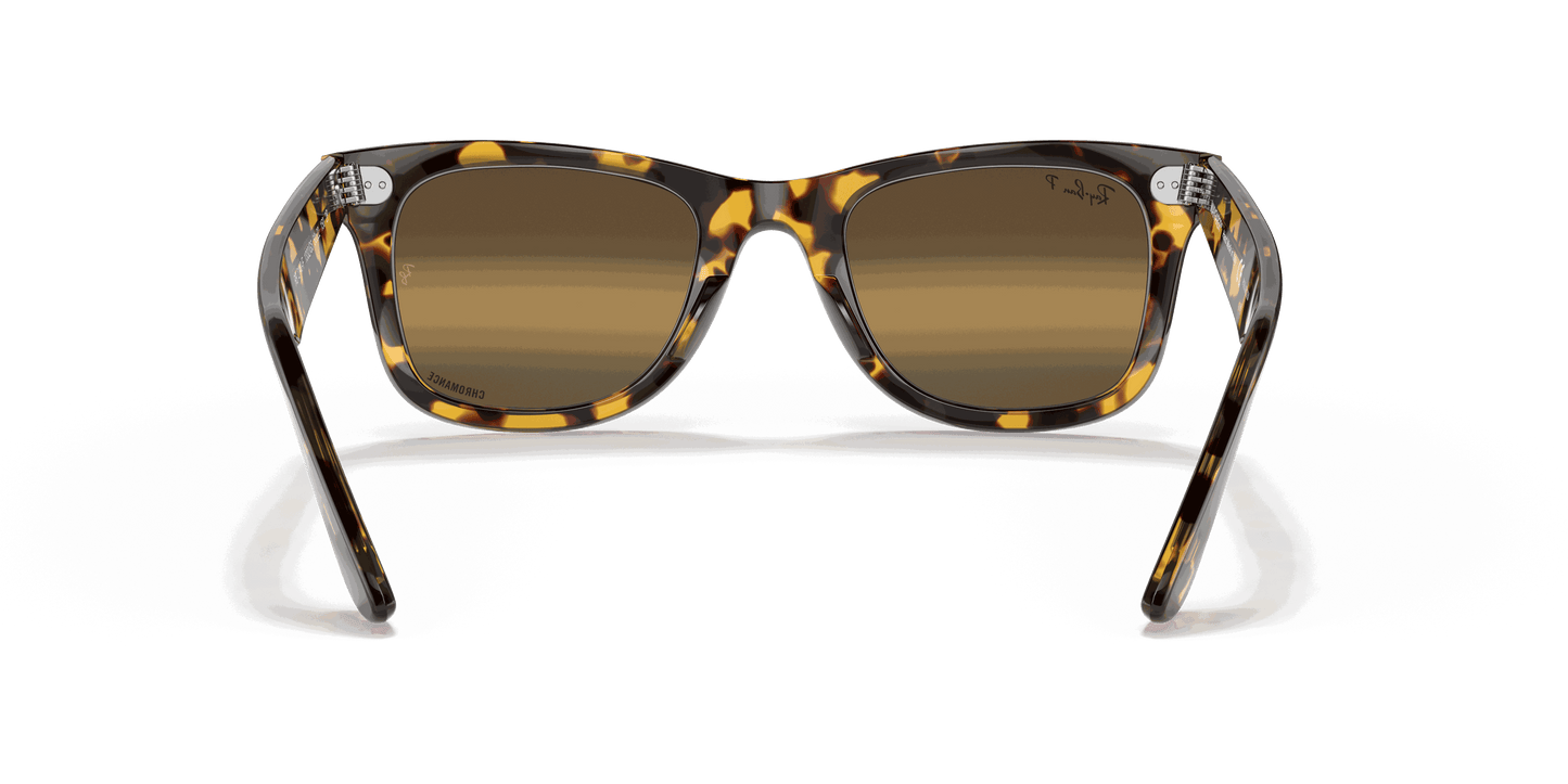 [Silver/Brown Lenses, Polished Transparent Blue Frame]