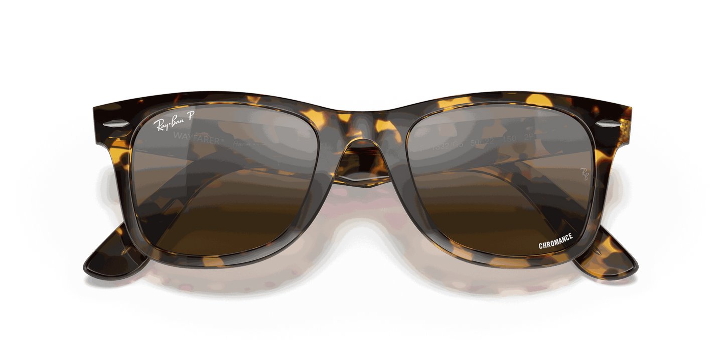 [Silver/Brown Lenses, Polished Transparent Blue Frame]