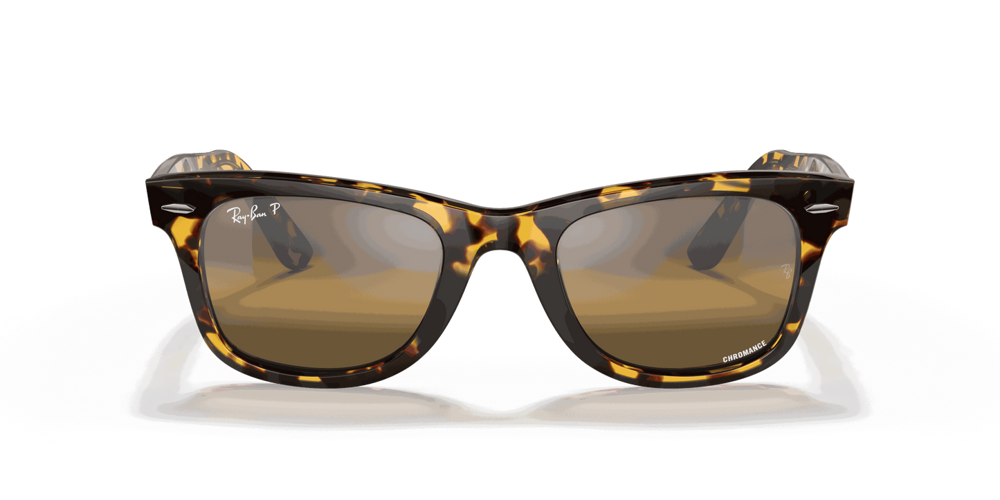 [Silver/Brown Lenses, Polished Transparent Blue Frame]