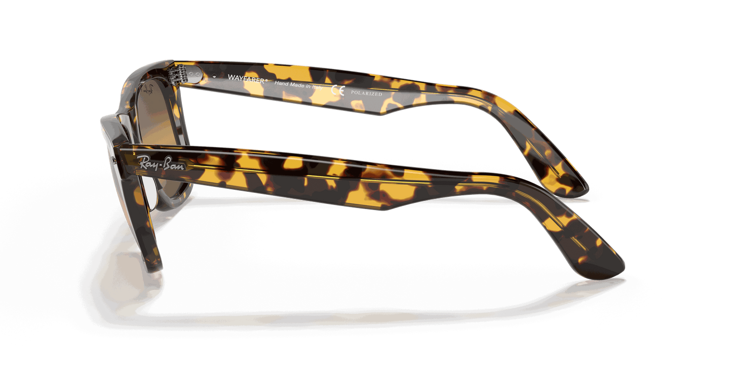 [Silver/Brown Lenses, Polished Transparent Blue Frame]