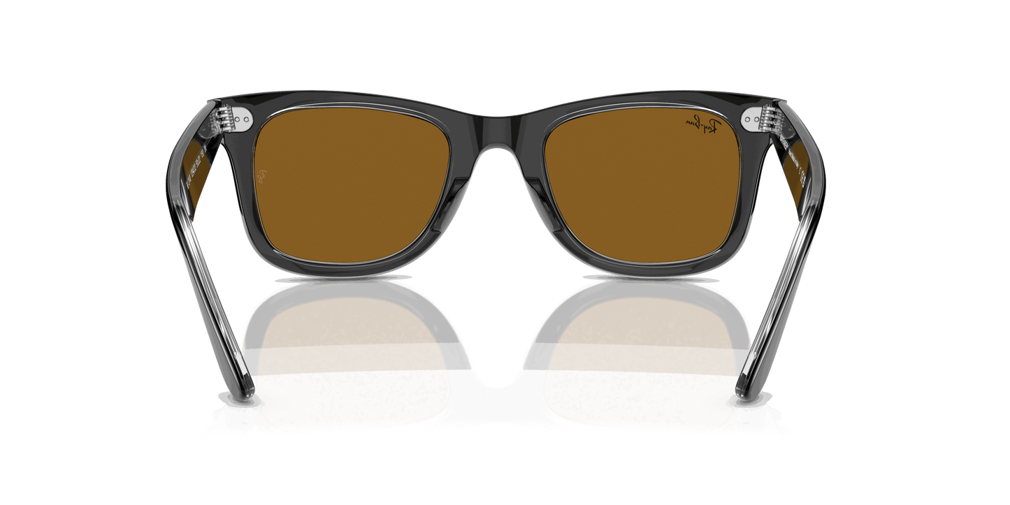 [Brown Lenses, Polished Black On Transparent Frame]