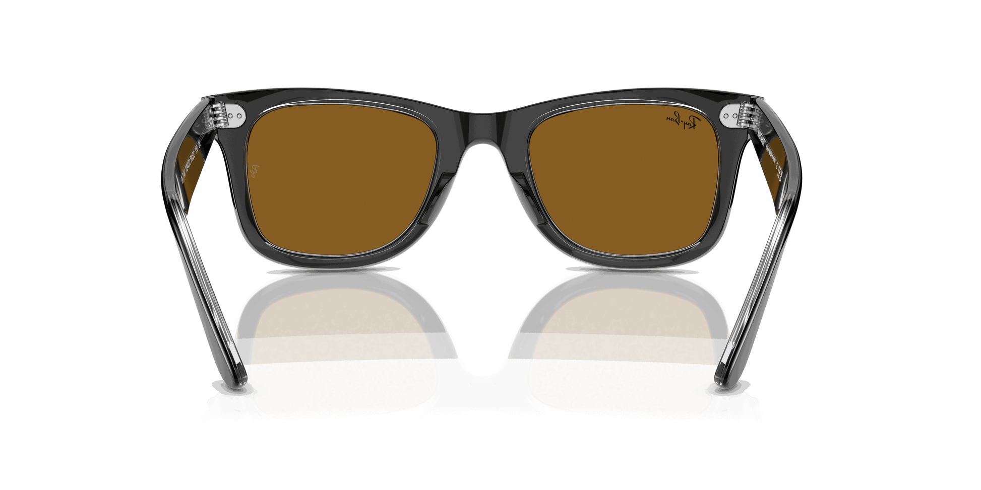 [Brown Lenses, Polished Black On Transparent Frame]