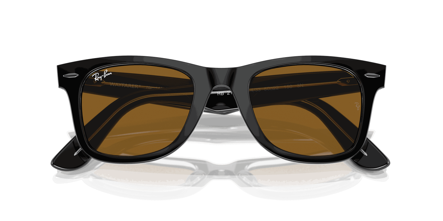 [Brown Lenses, Polished Black On Transparent Frame]
