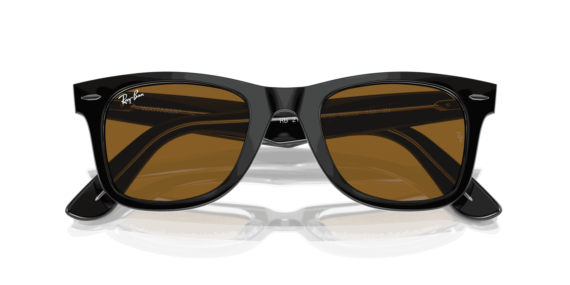 [Brown Lenses, Polished Black On Transparent Frame]