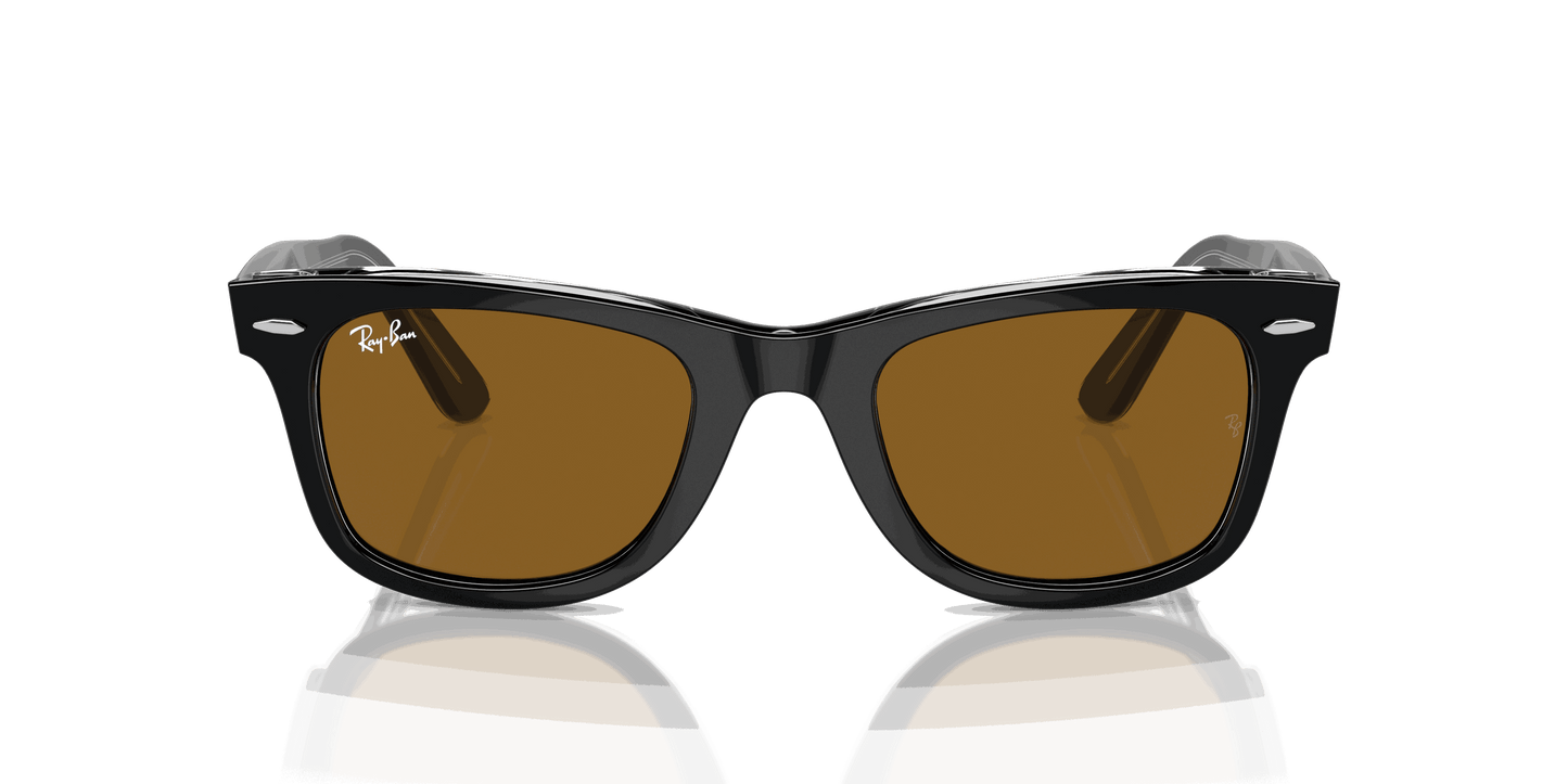 [Brown Lenses, Polished Black On Transparent Frame]