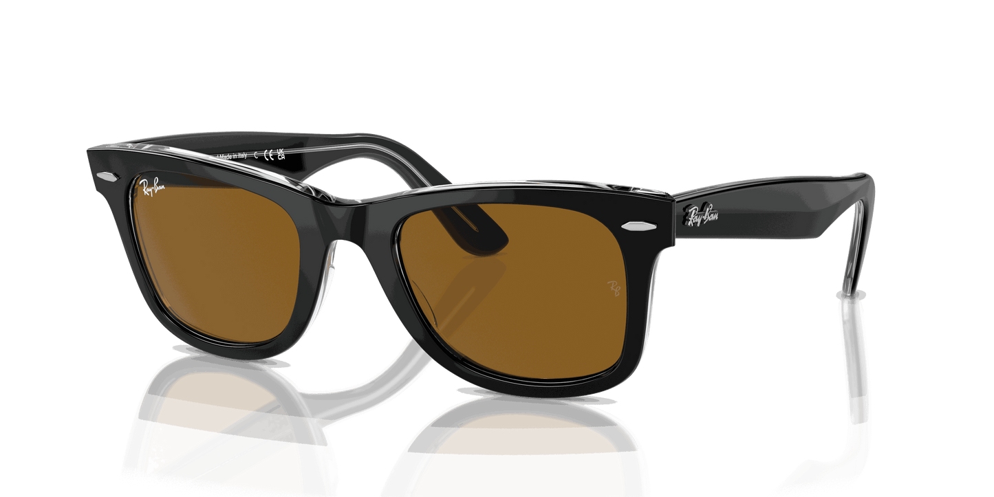 [Brown Lenses, Polished Black On Transparent Frame]