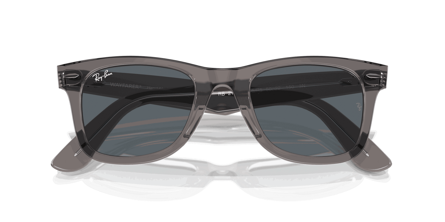 [Blue Lenses, Polished Grey On Transparent Frame]