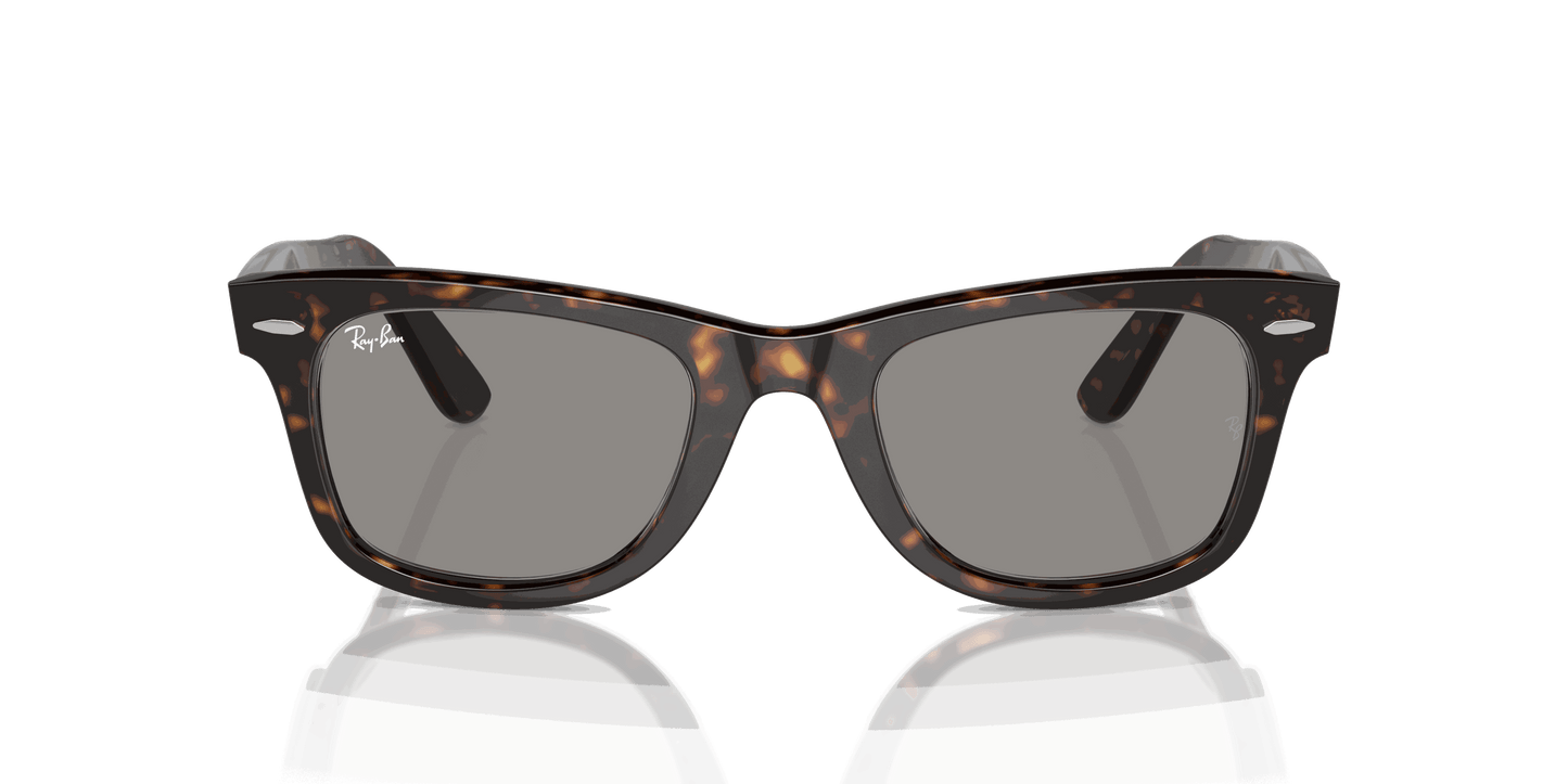 [Grey Lenses, Polished Havana Frame]