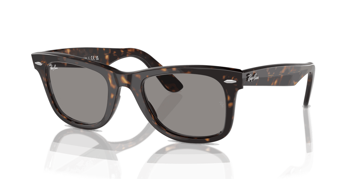 [Grey Lenses, Polished Havana Frame]