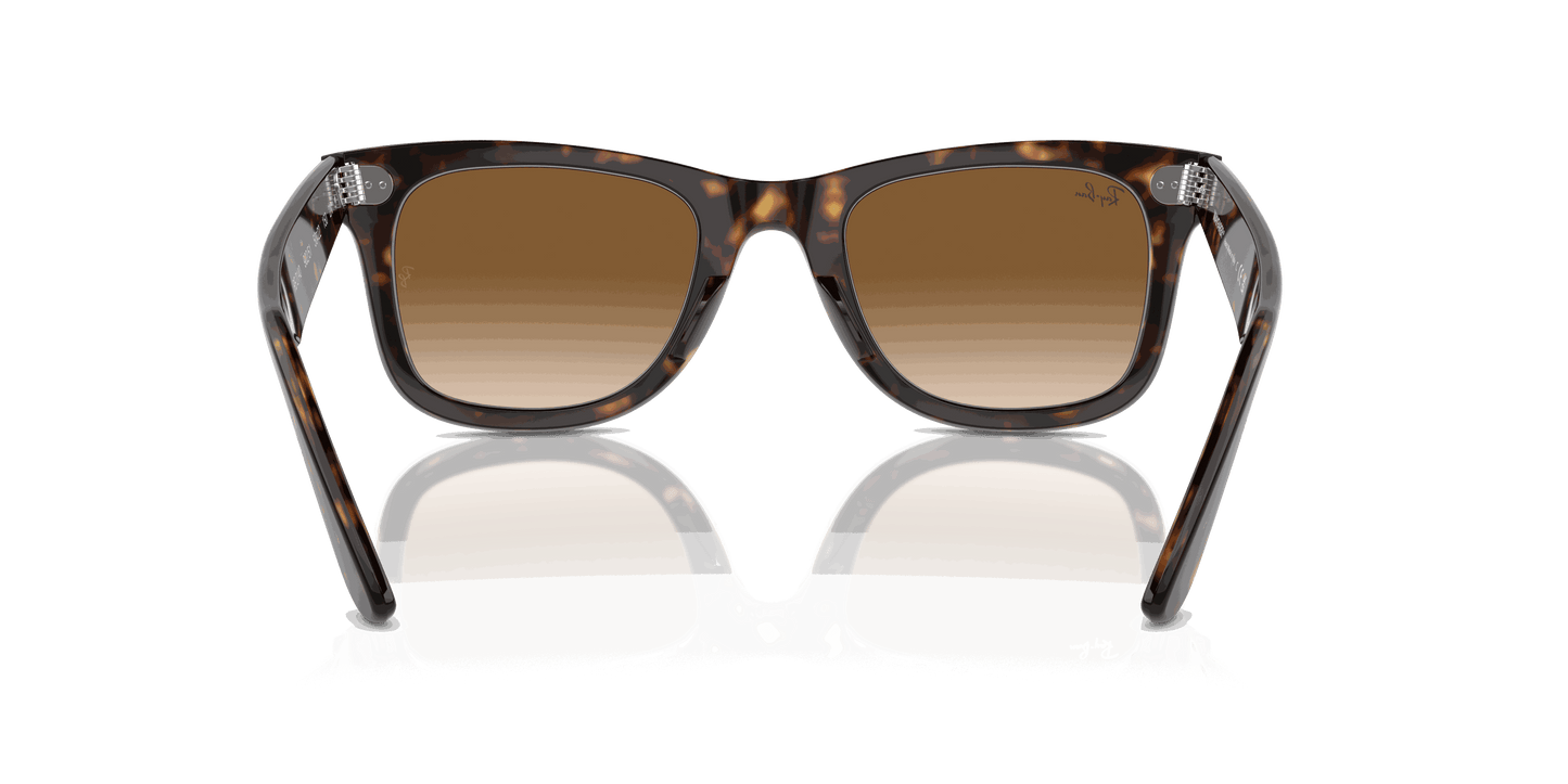 [Light Brown Lenses, Polished Tortoise Frame]