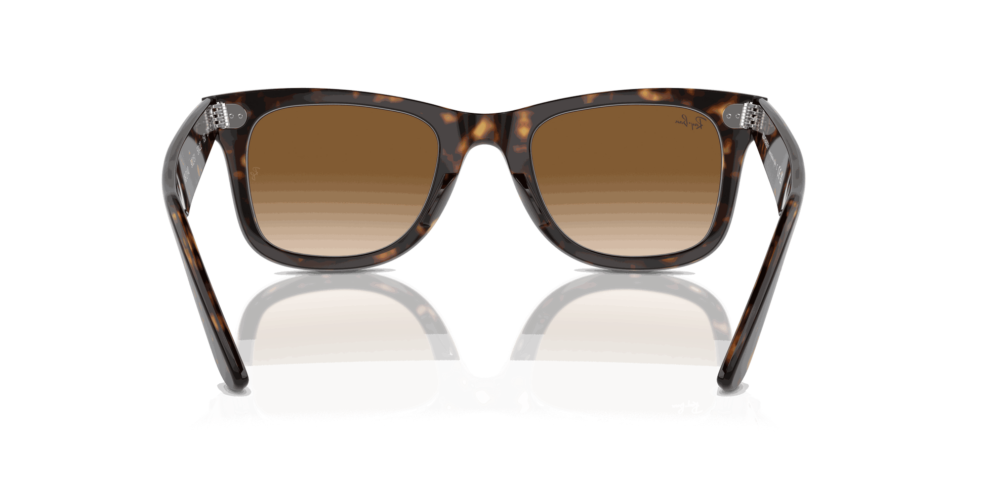 [Light Brown Lenses, Polished Tortoise Frame]