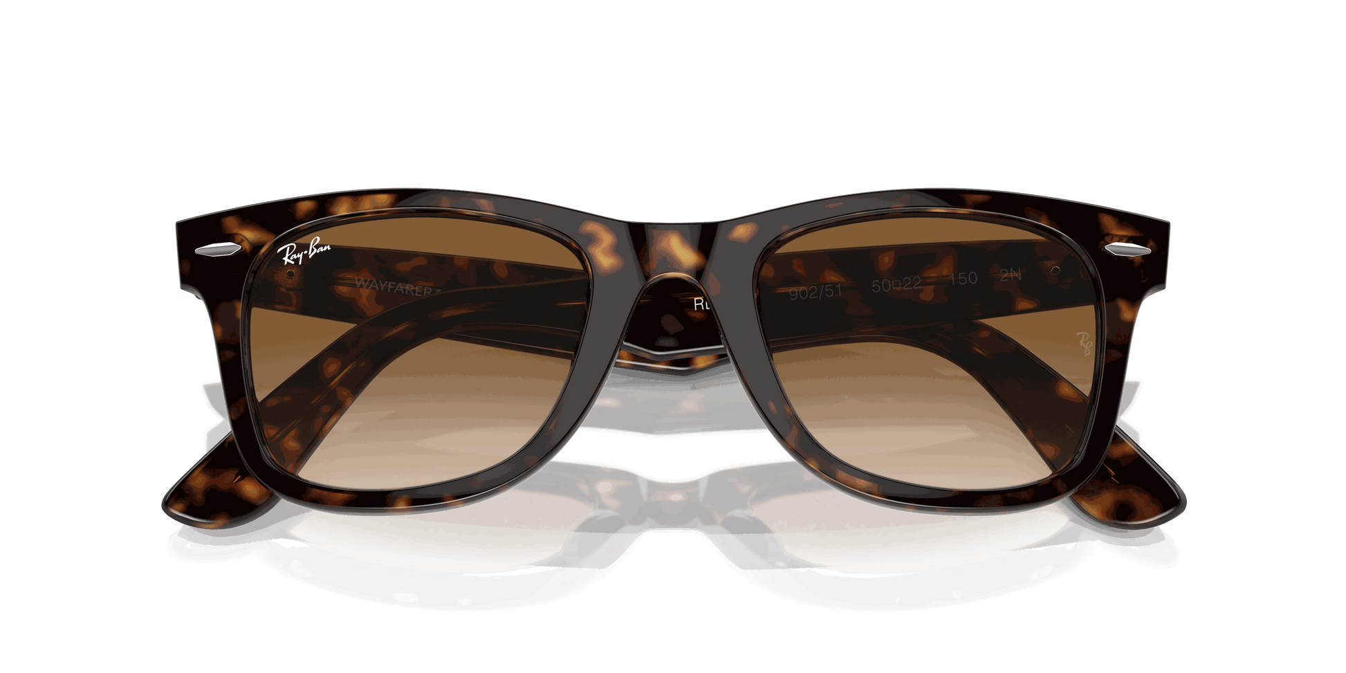 [Light Brown Lenses, Polished Tortoise Frame]