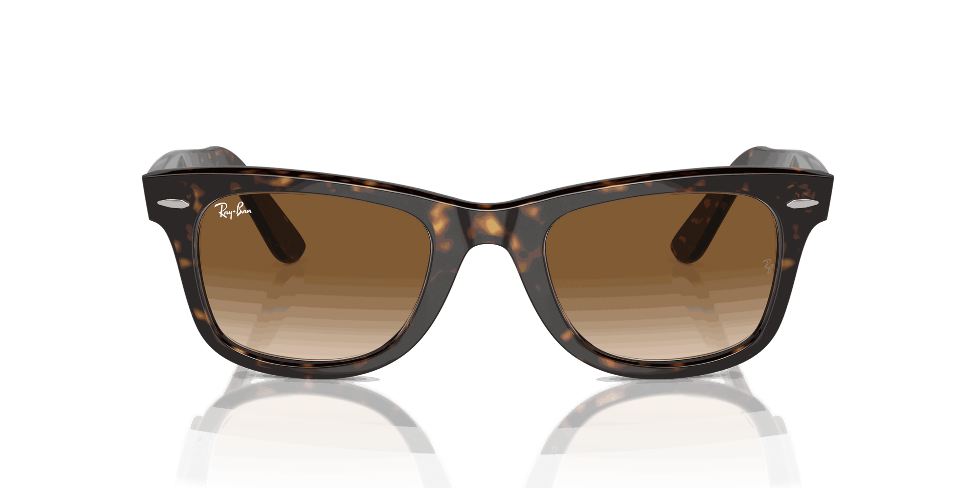 [Light Brown Lenses, Polished Tortoise Frame]