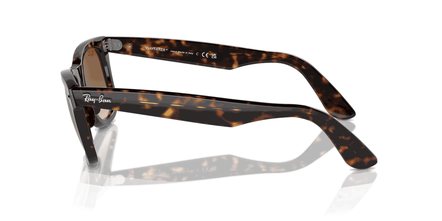 [Light Brown Lenses, Polished Tortoise Frame]