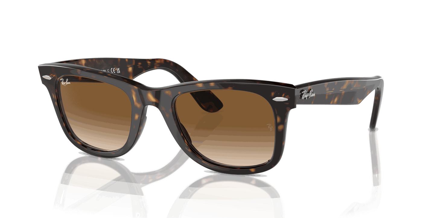 [Light Brown Lenses, Polished Tortoise Frame]