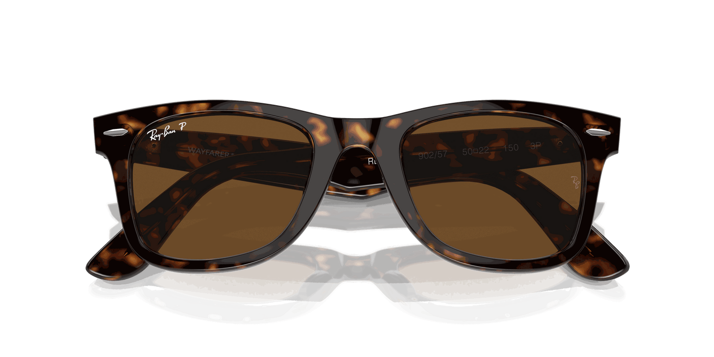 [Brown Lenses, Polished Tortoise Frame]