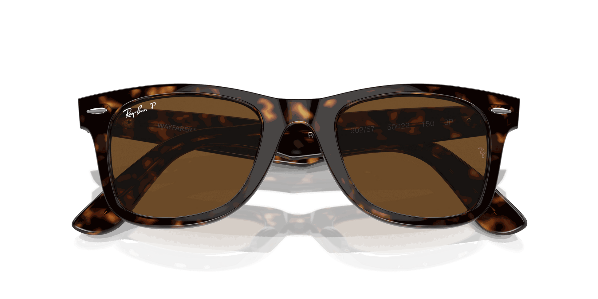 [Brown Lenses, Polished Tortoise Frame]