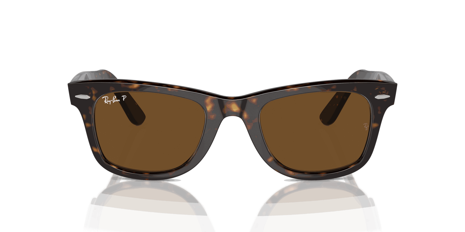 [Brown Lenses, Polished Tortoise Frame]