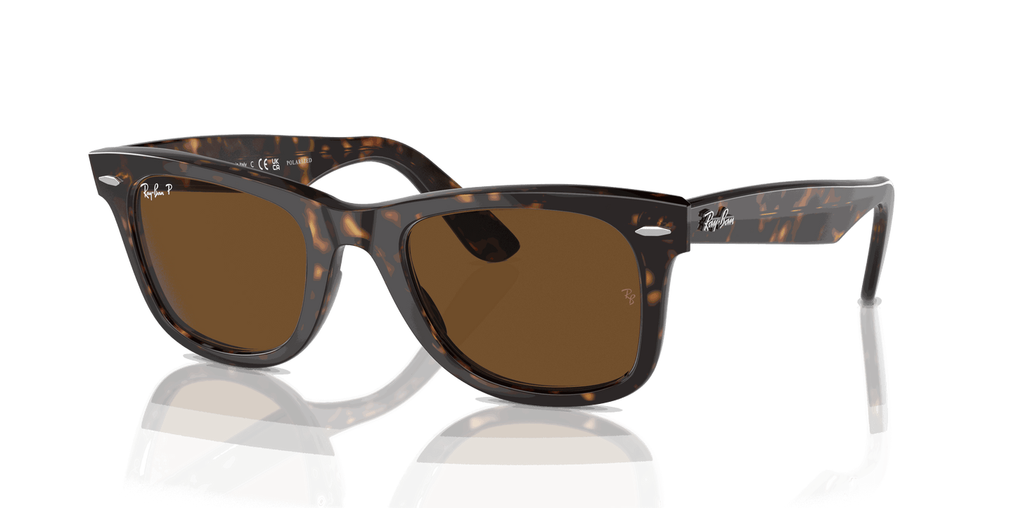 [Brown Lenses, Polished Tortoise Frame]