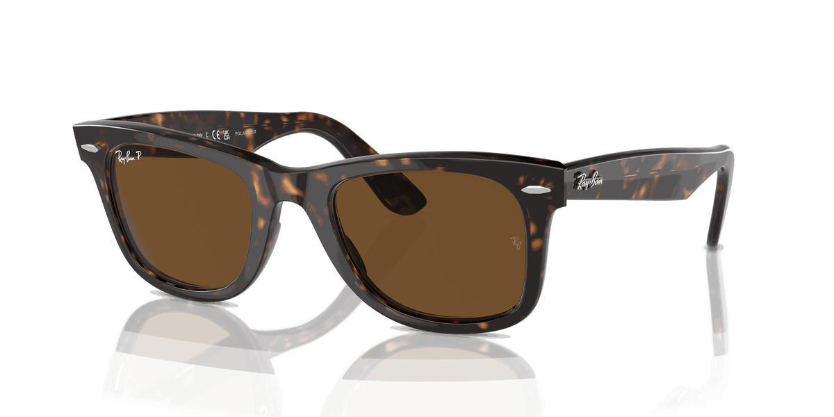 [Brown Lenses, Polished Tortoise Frame]