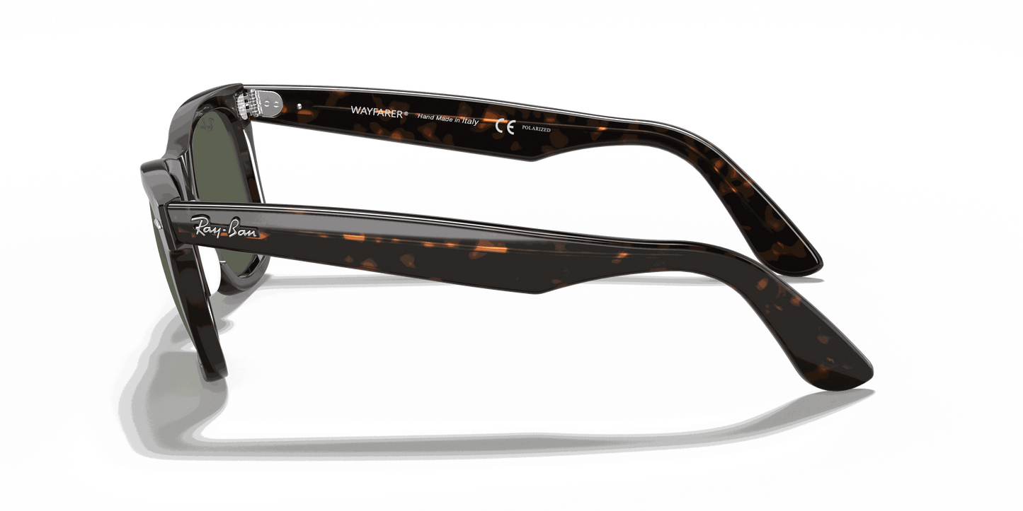 [Green Lenses, Polished Tortoise Frame]