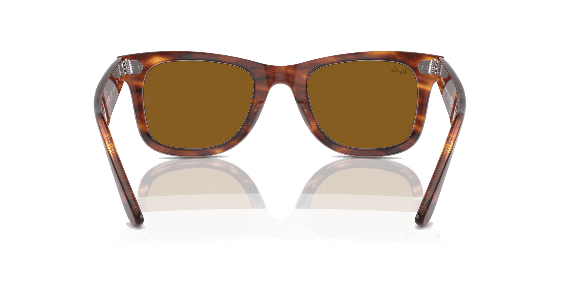 [B-15 Brown Lenses, Polished Striped Havana Frame]