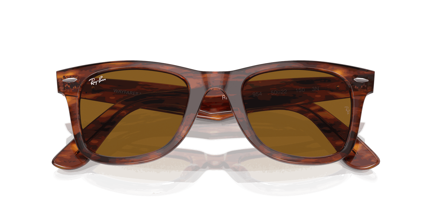 [B-15 Brown Lenses, Polished Striped Havana Frame]