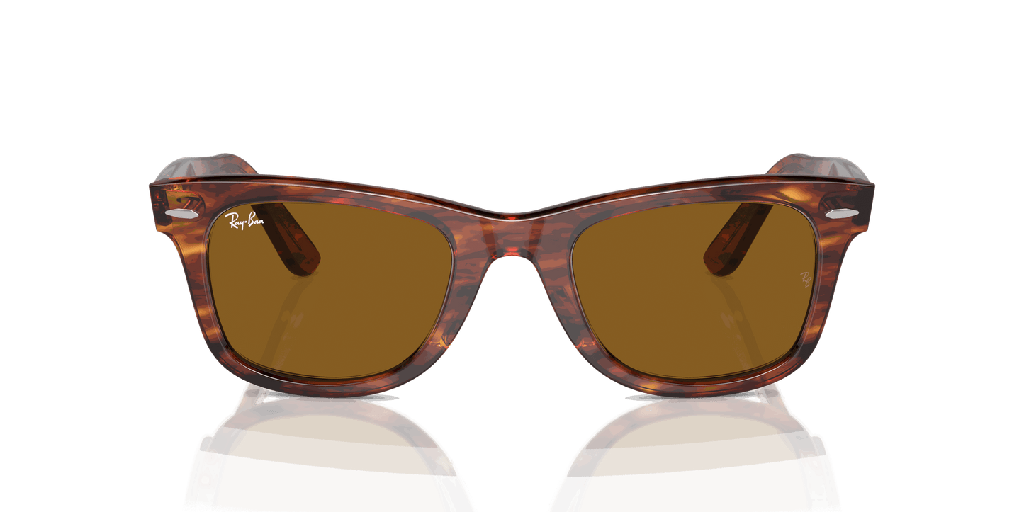 [B-15 Brown Lenses, Polished Striped Havana Frame]