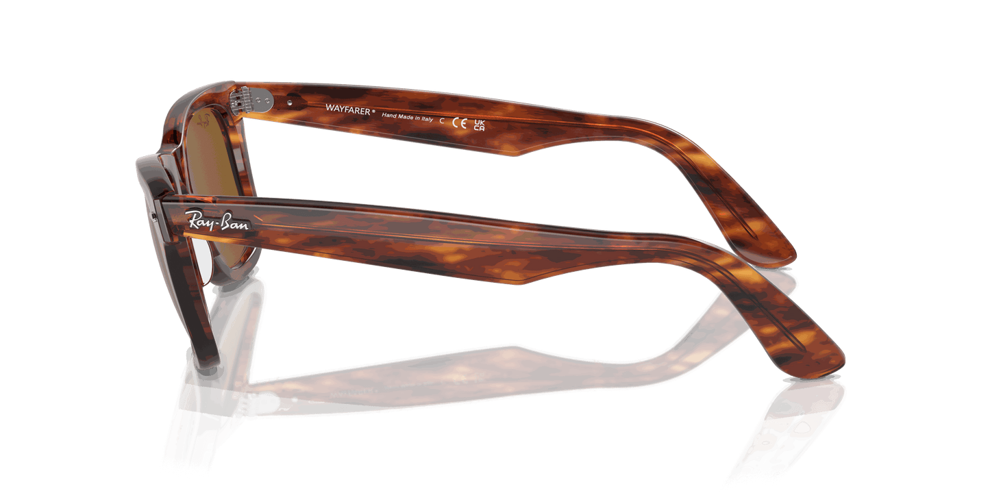 [B-15 Brown Lenses, Polished Striped Havana Frame]