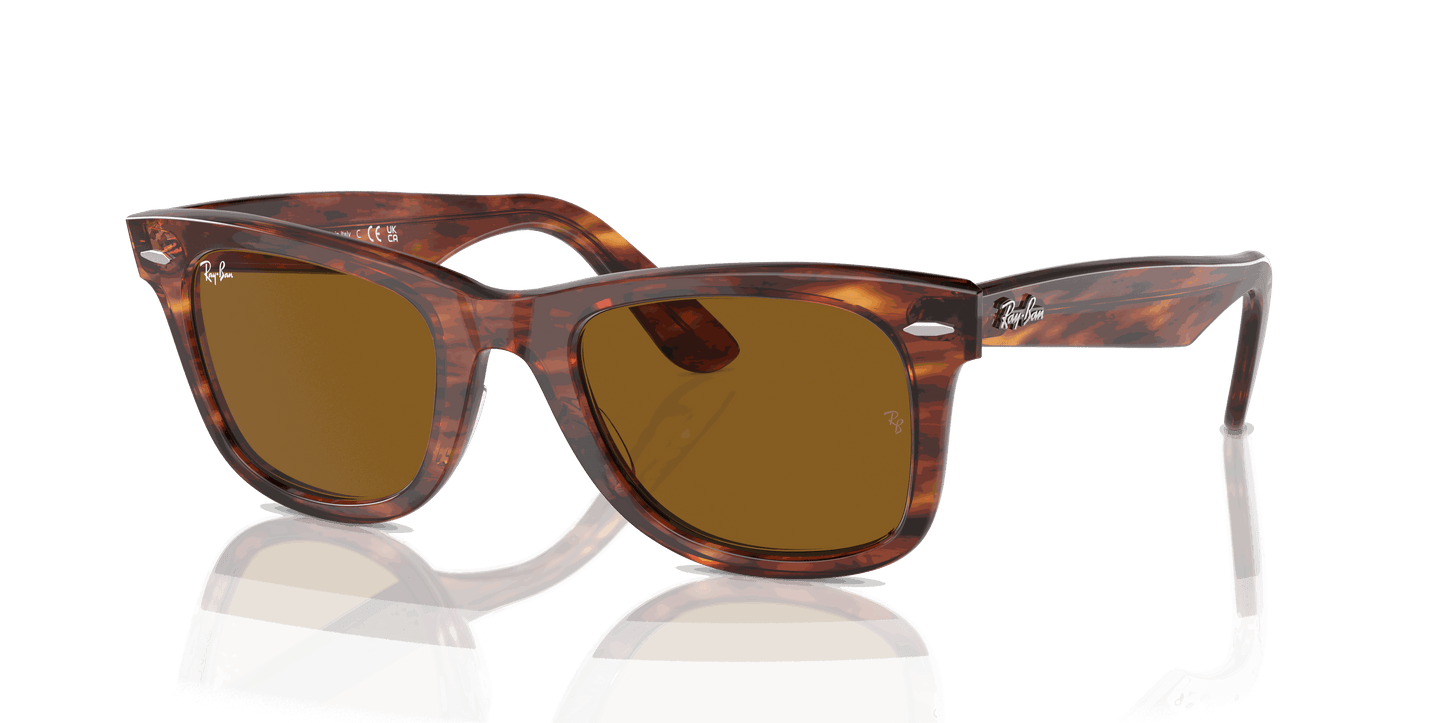 [B-15 Brown Lenses, Polished Striped Havana Frame]