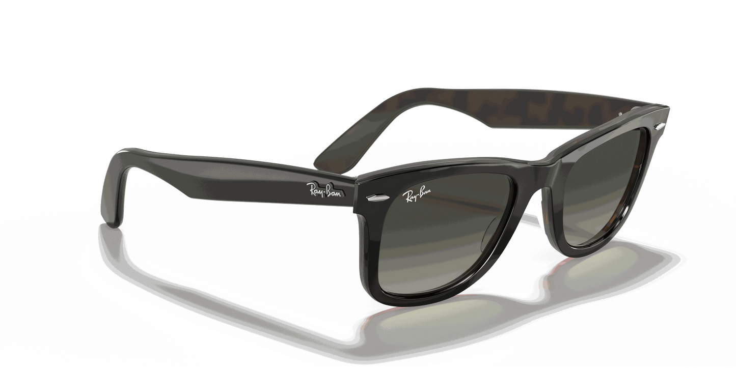 [Grey Gradient Lenses, Polished Grey On Havana Frame]